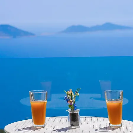 Super Hill فيلة كاس